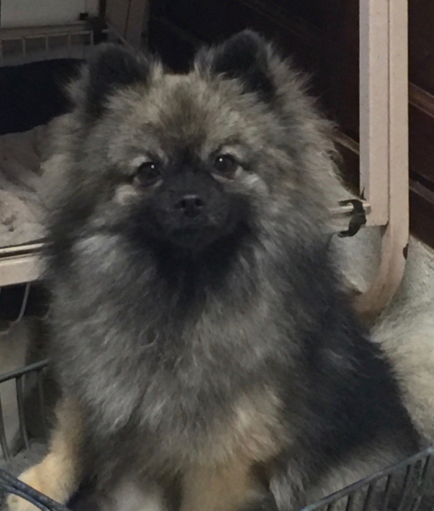 Jalucine De La Vallee Des Gris Doubs