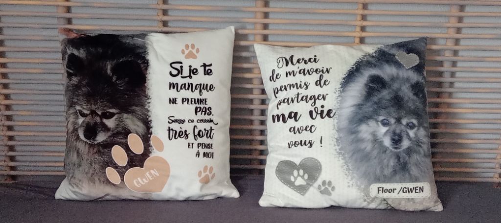 FLOOR  Zmahajku    dite  GWEN  