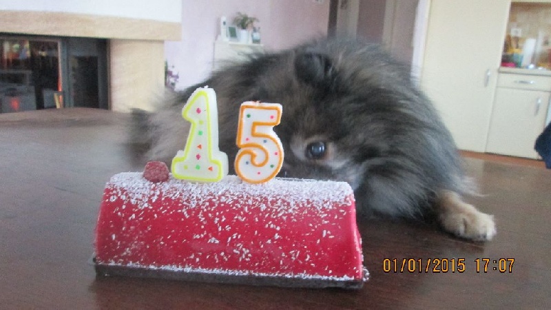 15 ANS pour mon ROMU
