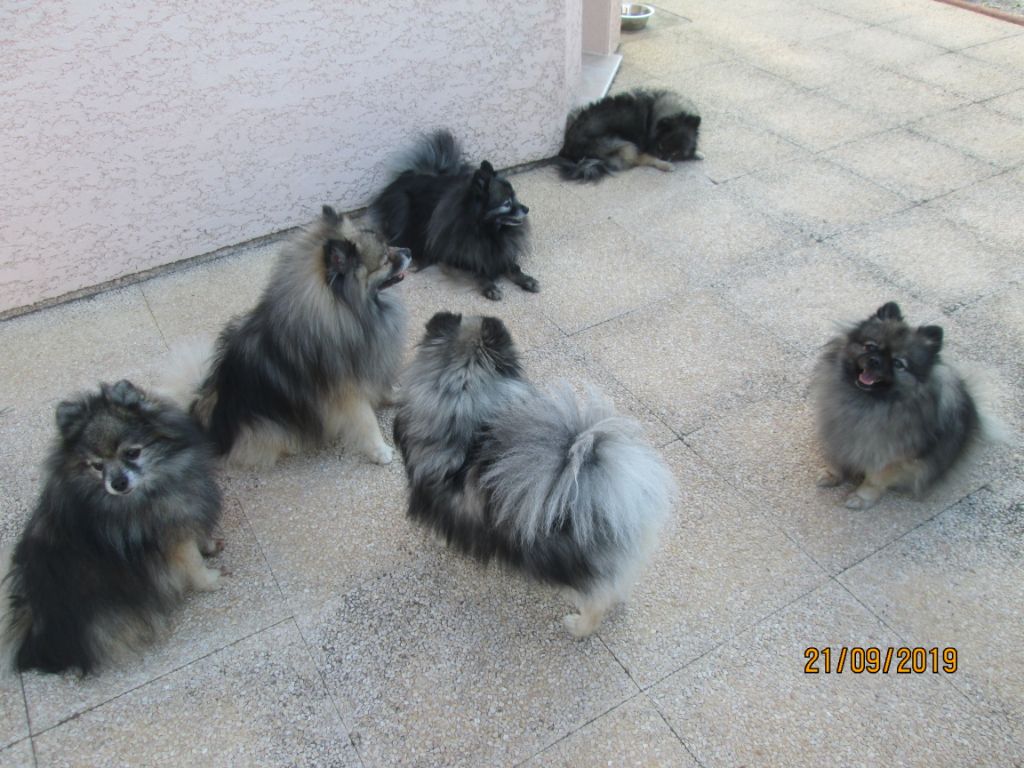 Mes Adultes
