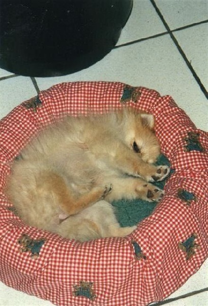 sur le vif !!! incontournable la sieste